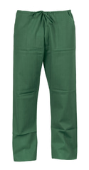 Pants in emerald green