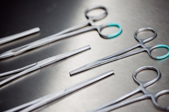 Packshot group Hemostatic forceps group PEHA instruments 3.jpg